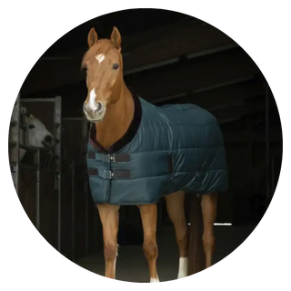 Stable-Rugs| Online For Equine