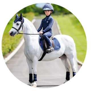 Horse Tack Sale