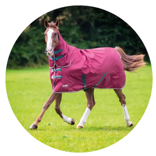 Turnout-Rugs| Online For Equine