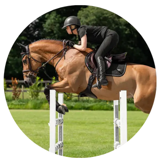 Close-Contact-Jump-Saddlecloths| Online For Equine