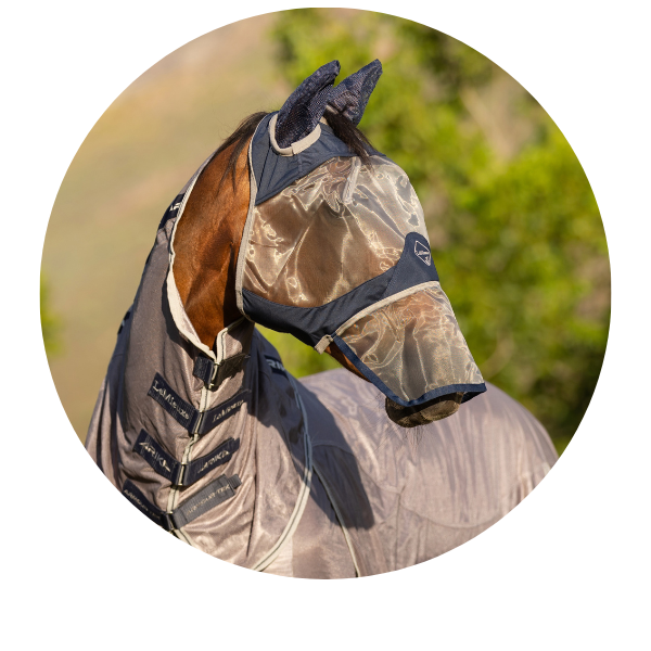 LeMieux Fly Mask