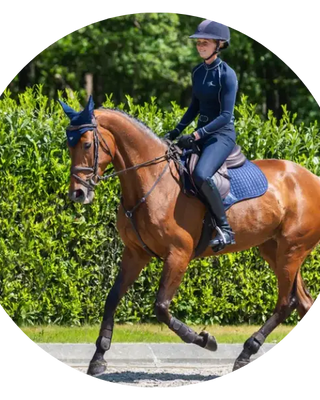 LeMieux-Saddle-Pads| Online For Equine
