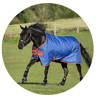Lightweight Turnout Rugs