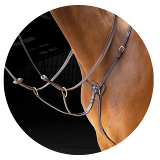 Martingales-Breastplates| Online For Equine
