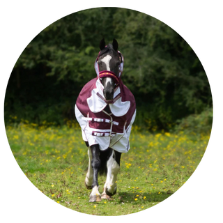 No Fill (0G) Turnout Rugs