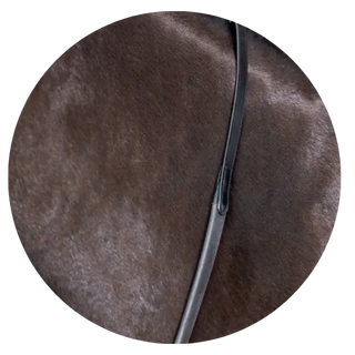 Reins-Couplers-Rubbers| Online For Equine