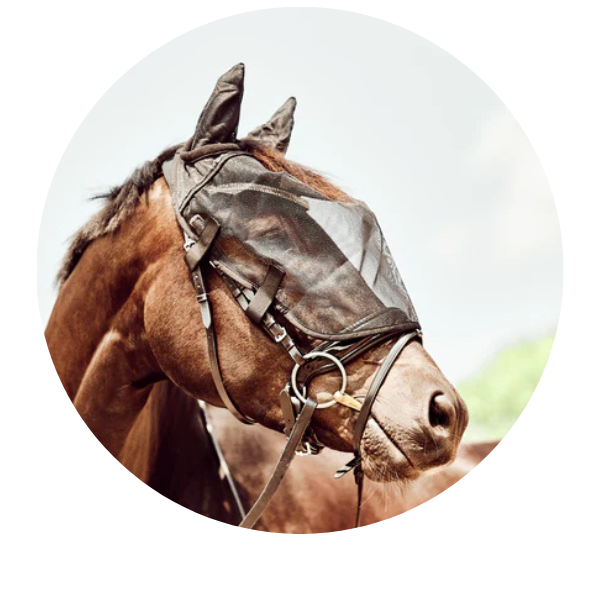 Ride-On Fly Mask