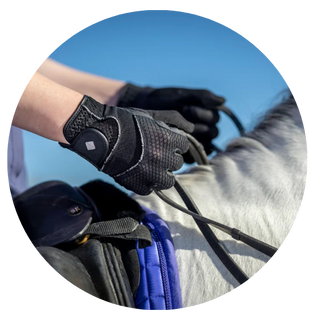 Riding Gloves