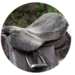 Saddles & Accessories