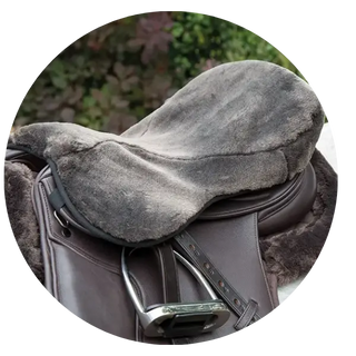 Saddles-Accessories| Online For Equine
