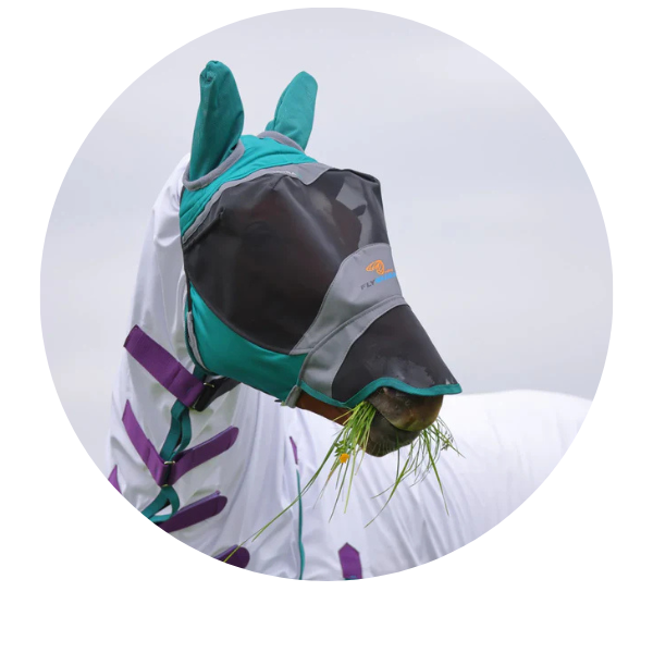 Shires Fly Mask