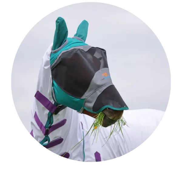 Shires-Fly-Mask| Online For Equine