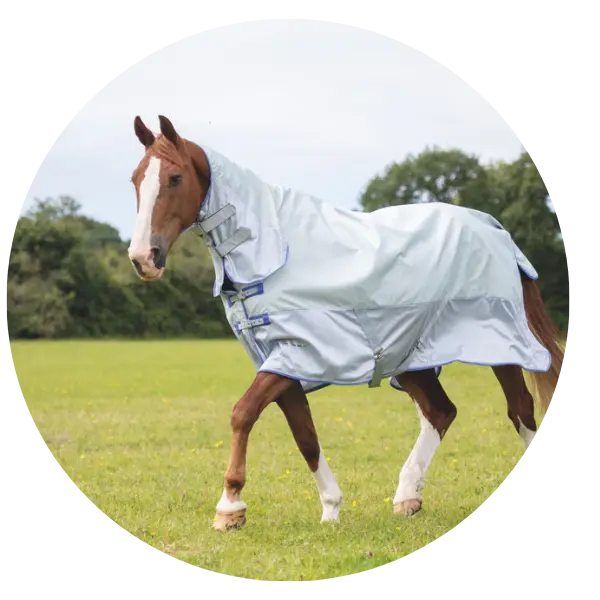 Shires Rugs UK | Tempest, Highlander & Fly Rugs – Online For Equine