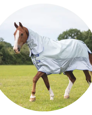 Shires-Tempest-Highlander-Rugs| Online For Equine