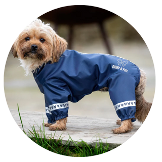 Waterproof Dog Coats