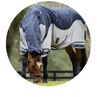 Waterproof-Fly-Rugs| Online For Equine