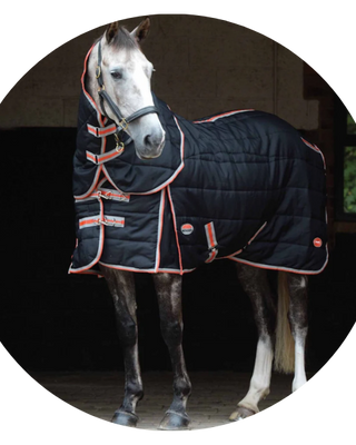 Weatherbeeta Stable Rugs & Sheets