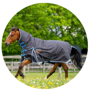 Heavyweight Turnout Rugs