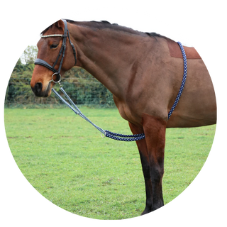 Lunging