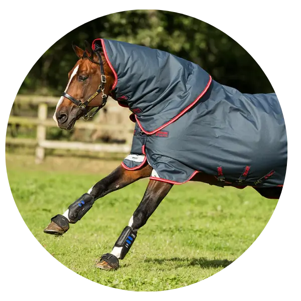 Mediumweight Turnout Rugs | Smart Rugging for UK Weather | Online For ...