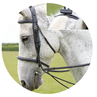 Training-Aids| Online For Equine