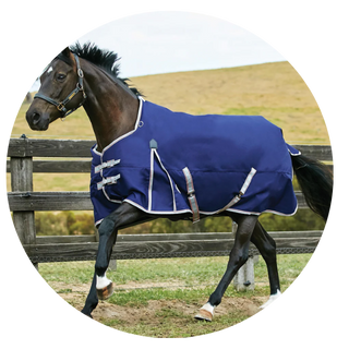 Weatherbeeta Turnout Rugs
