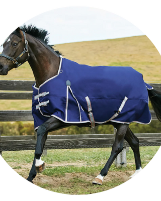Weatherbeeta Turnout Rugs