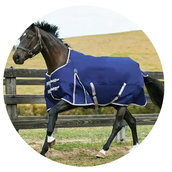 WeatherBeeta Turnout Rugs | Waterproof Horse Rugs for All Seasons ...