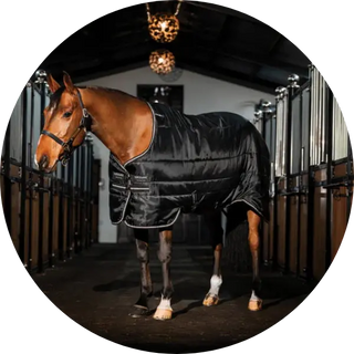Lightweight-Stable-Rugs| Online For Equine