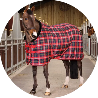 Medium-Weight-Stable-Rugs| Online For Equine