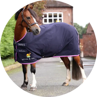 Stable-Sheets| Online For Equine