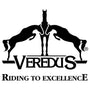 Veredus Logo