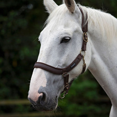 Cameo Equine Brown Anatomic Headcollar