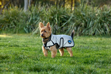 Buy Weatherbeeta Comfitec Reflective Showerproof Dog Coat Silver | Online for Equine