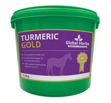 Buy Global Herbs Turmeric Gold | Online for Equine