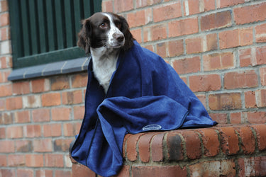 WeatherBeeta Dog Towel