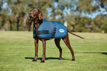 WeatherBeeta ComFitec Classic Parka Dog Coat