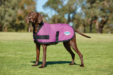 WeatherBeeta ComFitec Classic Parka Dog Coat
