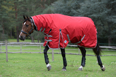 Buy Weatherbeeta ComFiTec Classic No Fill Combo Neck Turnout Rug | Online for Equine