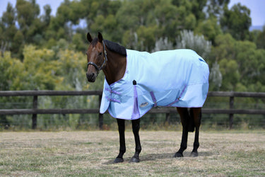 Buy Weatherbeeta ComFiTec Classic No Fill Standard Neck Turnout Rug Blue / Purple | Online for Equine