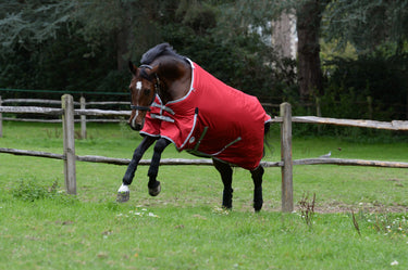 Buy Weatherbeeta ComFiTec Classic No Fill Standard Neck Turnout Rug | Online for Equine