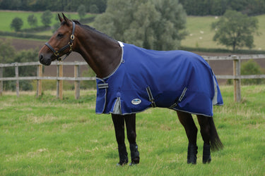 Buy the WeatherBeeta ComfiTec Premier Free II Lite 0g Rug | Online for Equine