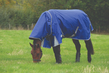 Buy Weatherbeeta ComFiTec Premier Free II 100g Detach-A-Neck Rug |Online For Equine