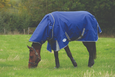 Buy Weatherbeeta ComFiTec Premier Free II 100g Detach-A-Neck Rug| Online for Equine