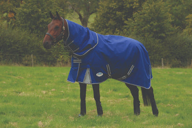 Buy Weatherbeeta ComFiTec Premier Free II 100g Detach-A-Neck Rug |Online For Equine