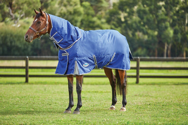 Buy Weatherbeeta ComFiTec Premier Free II 100g Detach-A-Neck Rug| Online for Equine