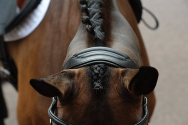 Buy the Collegiate ComFiTec Vogue Brown Anatomical Bridle | Online for Equine