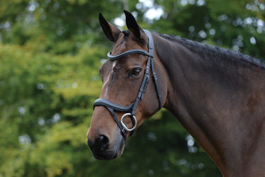 Buy the Collegiate ComFiTec Vogue Brown Anatomical Bridle | Online for Equine