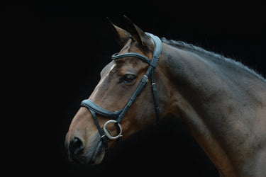 Buy the Collegiate ComFiTec Vogue Black Anatomical Bridle | Online for Equine