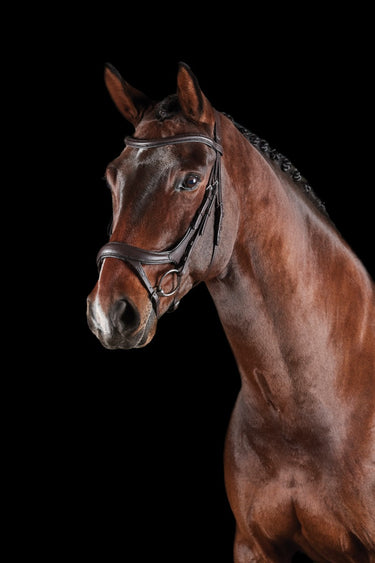 Buy the Collegiate ComFiTec Vogue Brown Anatomical Bridle | Online for Equine
